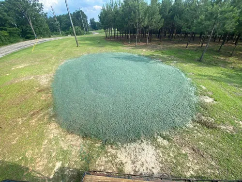 Hydroseeding for South Mississippi Land Management LLC in Columbia, Mississippi