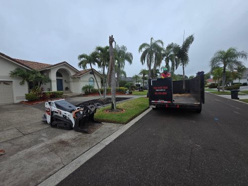 Stump Grinding for TREE BOYS in Ruskin, FL