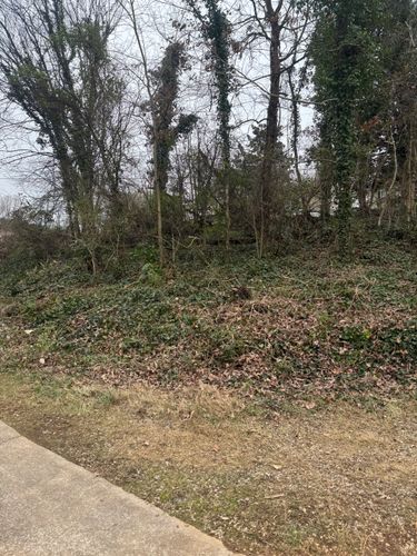  for R&M Property Maintenance in White Pine, TN
