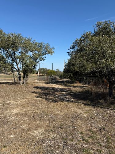 Tree Trimming for Oakley’s Stump ‘N Grind in Leander, TX