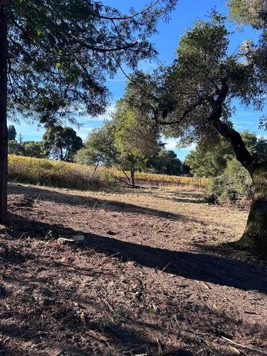  for J. Orozco & Sons Ent in Philo, CA