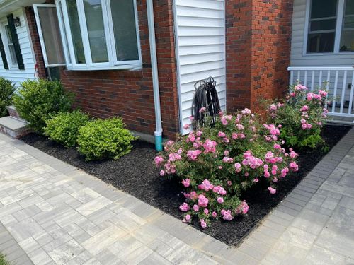 Shrub Trimming for GH Lawn Services in West Warwick, RI