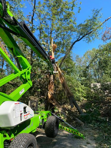 24-Hour Emergency Services for Allstate Tree Service in Fridley, MN