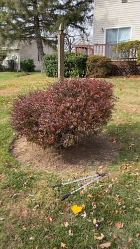 All Photos for Gray's Tree Service Inc in Maurertown, VA