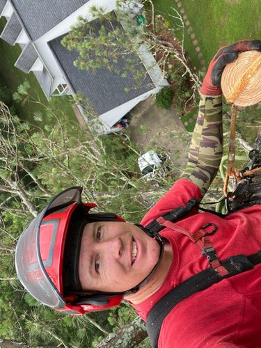 Tree Removal for Pinedown LLC in Cherokee County, GA