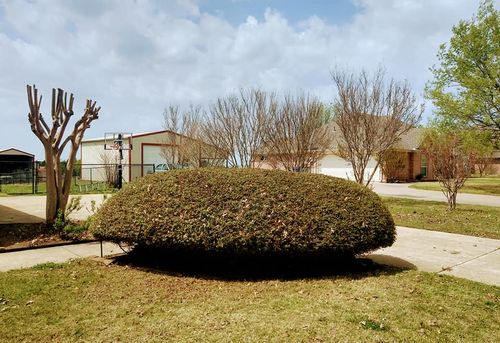 All Photos for Lavon Lawn Plus in Lavon, TX