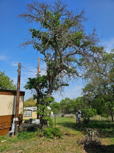  for Marek Land Services in  Austin,  Texas
