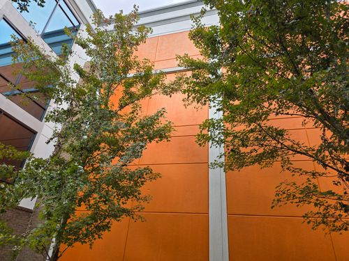 Exterior Painting for DMD Painting in East Flat Rock, NC