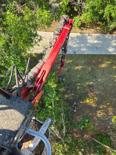 Tree Trimming for Near Me Tree Service, Inc. in DeLand, FL