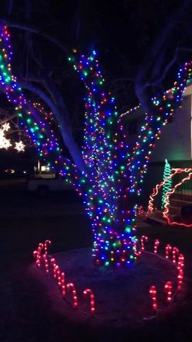  for Duncan Yard Services in Bountiful, UT