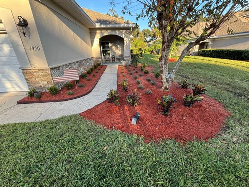 Horticulture Care for Cunningham's Lawn & Landscaping LLC in Daytona Beach, Florida