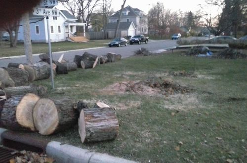 Stump Grinding for Buffalo Family Tree Care in Buffalo, MN