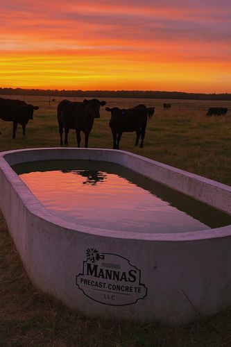  for MannaS Precast Concrete LLC in Bay City, TX