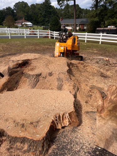  for Ricky's Tree Service & Property Care in Orange, VA