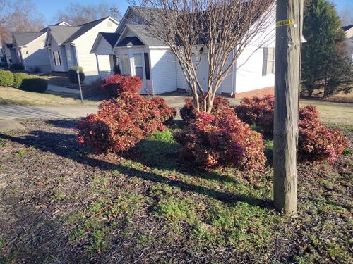  for Palmetto Cuts Lawn Care LLC in Simpsonville, SC