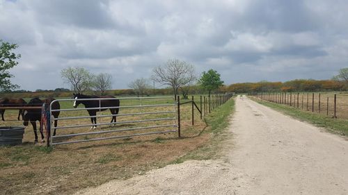 Fences for Rudy's Custom Fence Building in Luling, TX