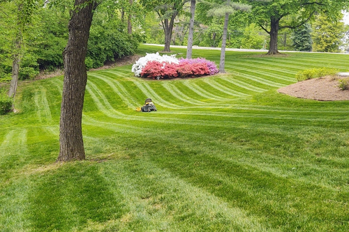 Lawn Maintenance for The Grass Guys CLC, LLC. in Evansville, IN