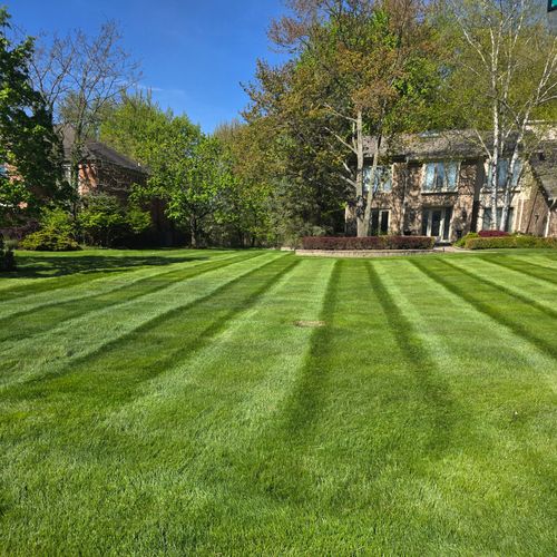  for Ivy Lawn and Landscaping in Oxford, MI