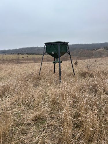 Feeder Maintenance for Two Young Bucks in Leon, IA