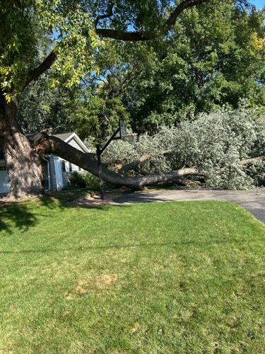 24-Hour Emergency Services for Allstate Tree Service and Crane in Minneapolis, MN