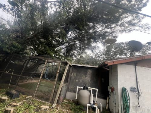 Immediate Response Tree work for storm damage for TREE BOYS in Ruskin, FL