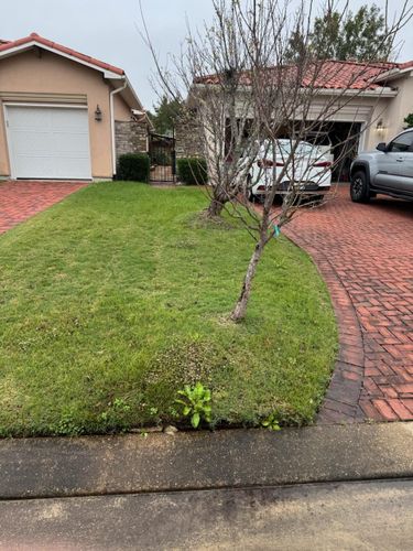Fall Clean Up for Bruno's Professional Lawn's & Landscape in Beaumont, TX