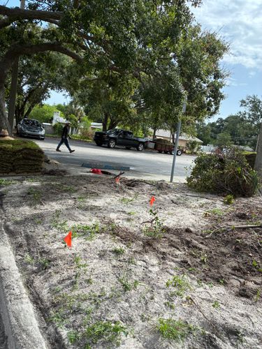  for Gulf Bay Sod in Clearwater, FL