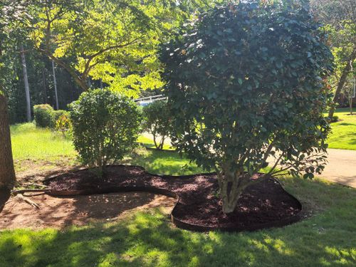 All Photos for Reg's Lawn Care Services in LaGrange, GA