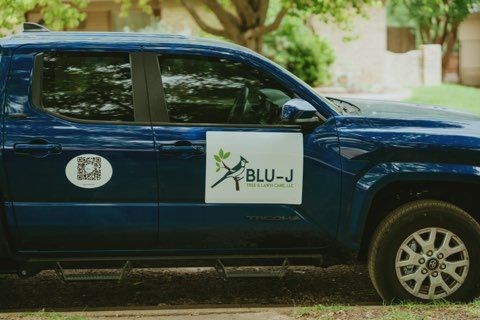 Tree Removal for Blu-J Tree Care in Arlington, TX