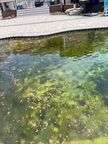 All Photos for Chesapeake Pool Solutions in Pasadena, MD