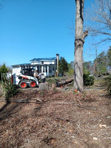 Tree Trimming for Backwoods Tree Experts in Vale, NC