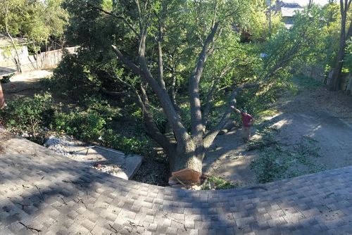  for A Realtree Service in Garland, TX
