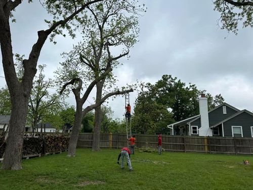 Mowing for Allen Lawn Care in Taylor, Texas