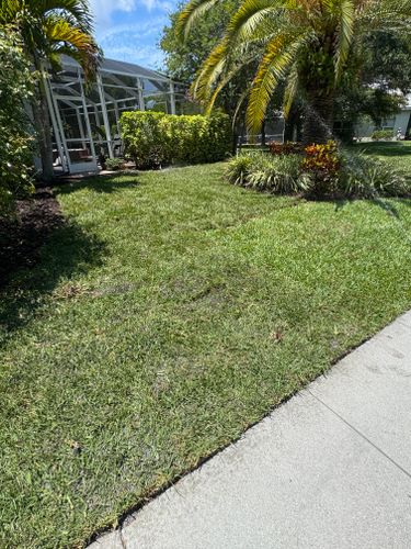 Sod installation for BH Lawn and Landscape in Fort Myers, FL