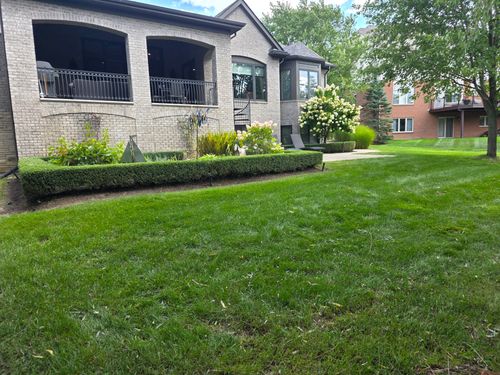  for Ivy Lawn and Landscaping in Oxford, MI