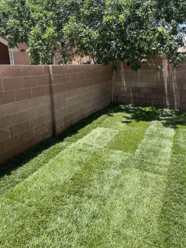 Residential Lawn Maintenance for 2 Brothers Landscaping in Albuquerque, NM