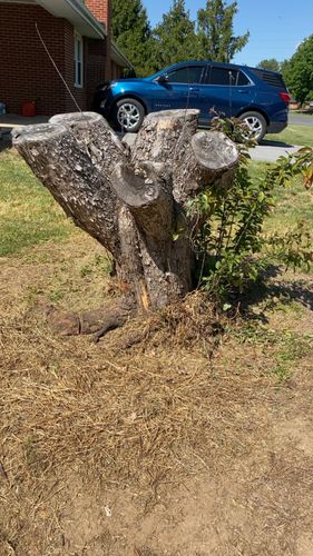All Photos for Gray's Tree Service  in Shenandoah County, VA