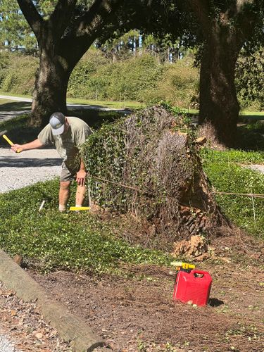  for Southern Venom Services in Daphne, AL