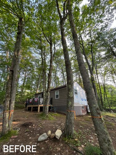 Tree Services for Blue Ribbon Tree Service in Gilford, NH