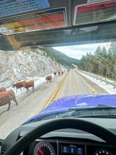  for Rocky Mountain Dirt Work in Missoula, MT