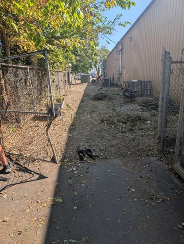  for Knapps Landscaping and Lawn Care in Marion, OH