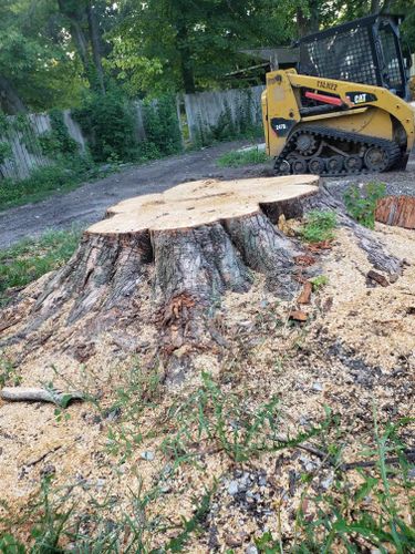 Stump Removal for Hunnicutt’s Tree Service L.L.C. in Monticello, IN