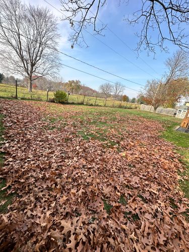 Fall Clean Up for Sargent's Lawn and Property Maintenance LLC in Lambertville, MI