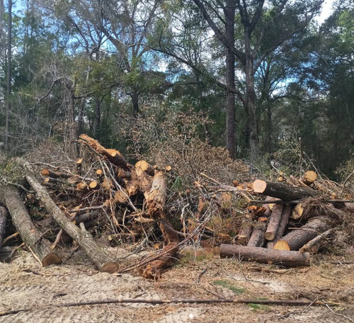 Trash Disposal for Aztec Land Destroyers LLC in Ocala, FL