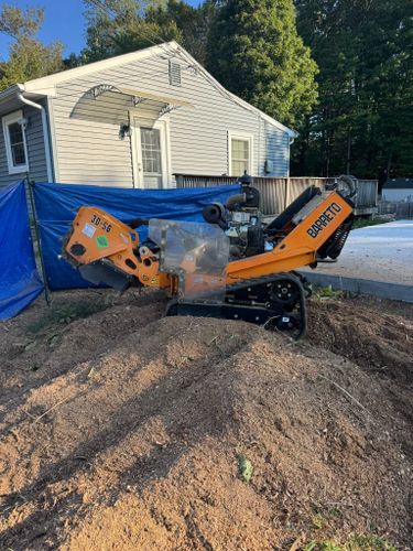 Stump Removal for Jills Stump Grinding and Firewood in Shelton, CT
