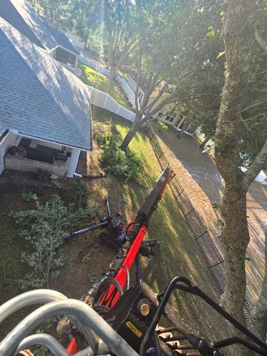 Tree Trimming for Near Me Tree Service, Inc. in DeLand, FL