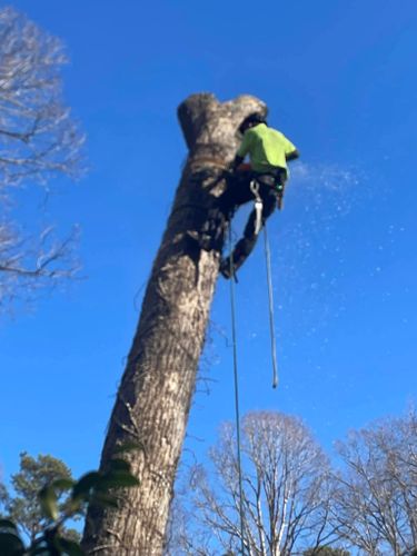  for Nature’s Own Tree Service in Hickory, NC