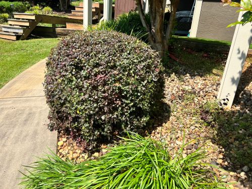 Shrub Trimming for Battle Lawn Maintenance in Eatonton, GA