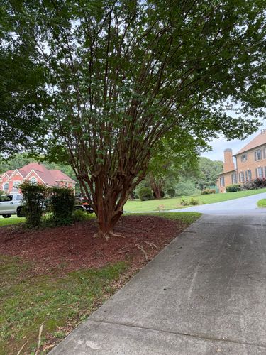  for Fantastic Lawn Care LLC in Fayetteville, GA