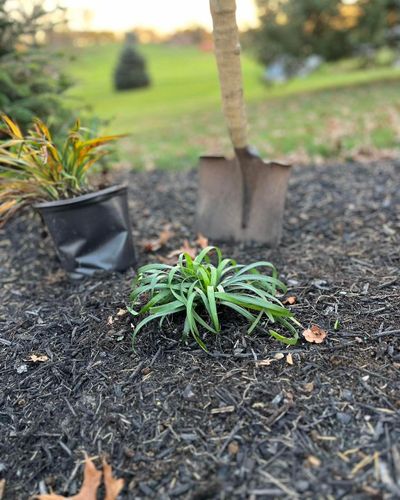 Landscaping Services for Conoy Acres Lawn Service in Elizabethtown, PA